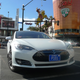 Image for article titled How the Downtown Project Is Solving Vegas's Urban Problems In-House